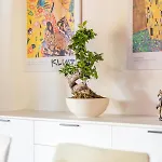 Casa Francesca Relax דירה